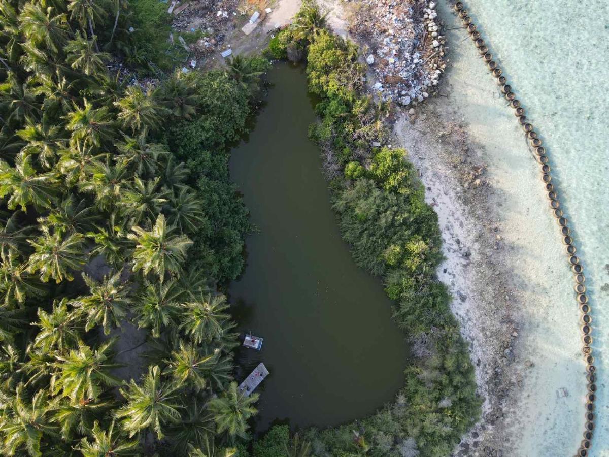 Finolhu Beach Guest House Felidhoo Exteriör bild